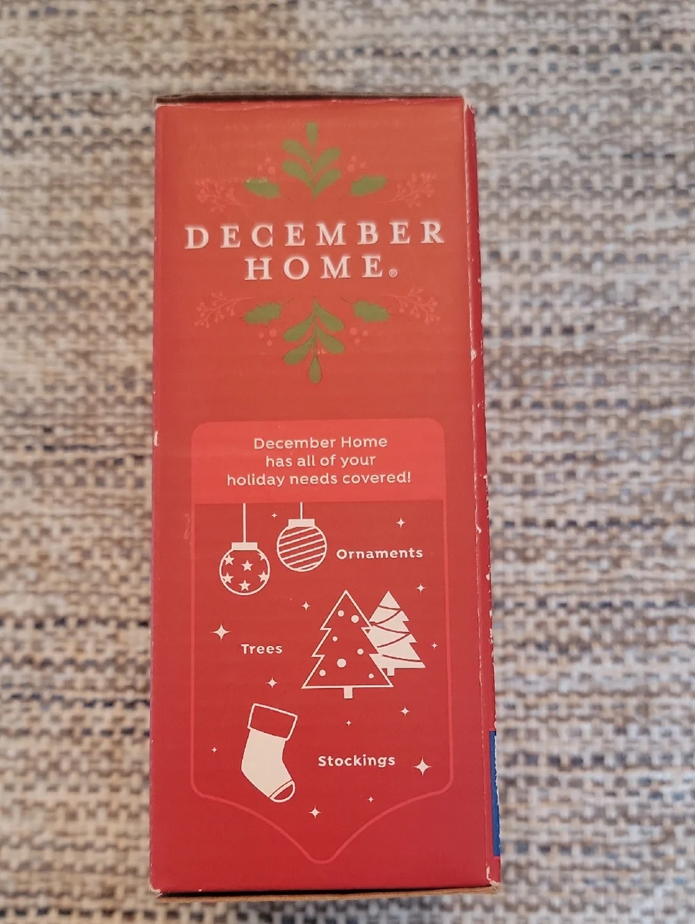 NWT Clear Christmas Lights